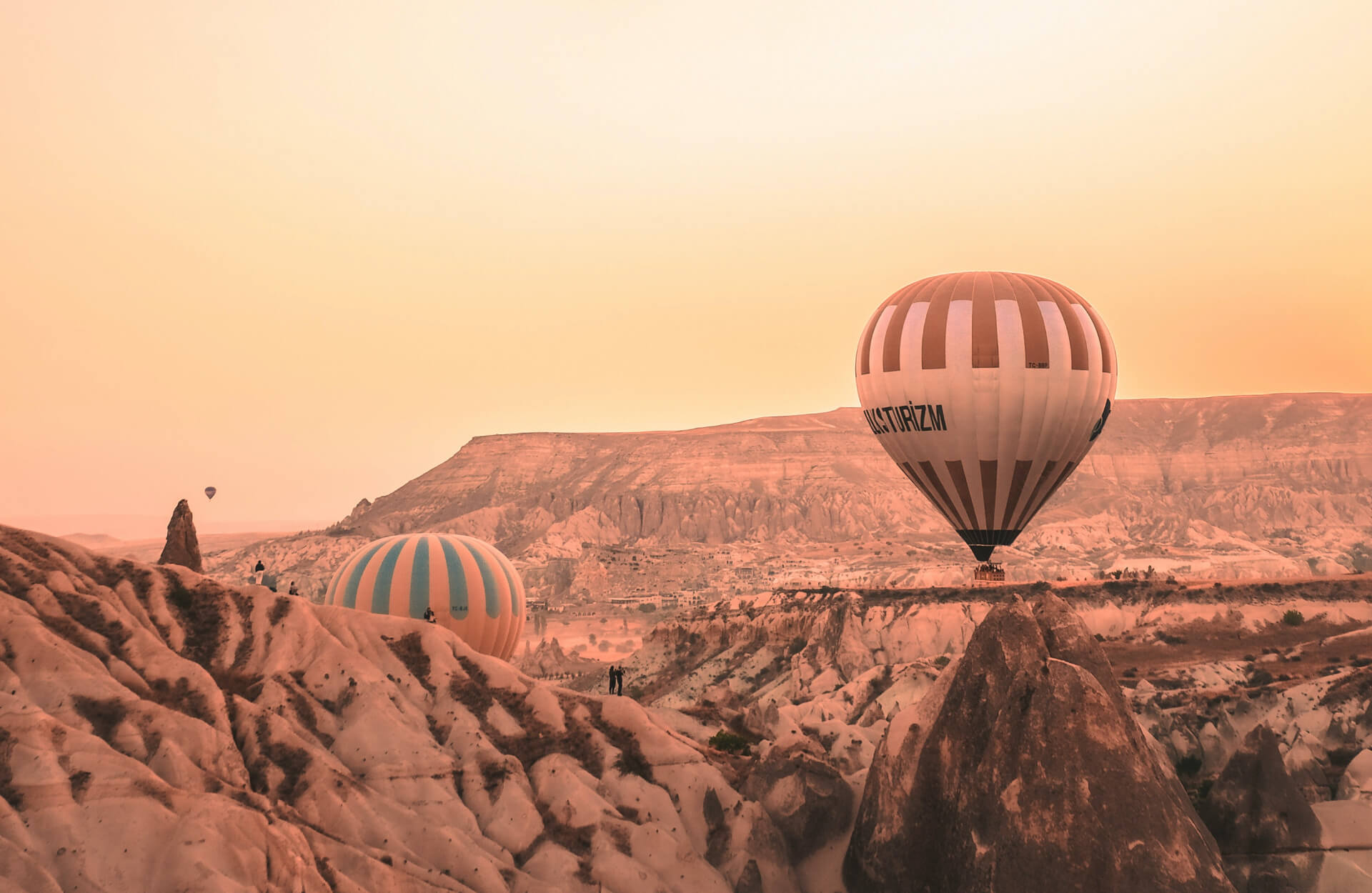 Research, Development &amp; Innovation (R&amp;D+i)